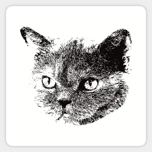 Selkirk Rex gift for Selkirk Rex Owners Sticker